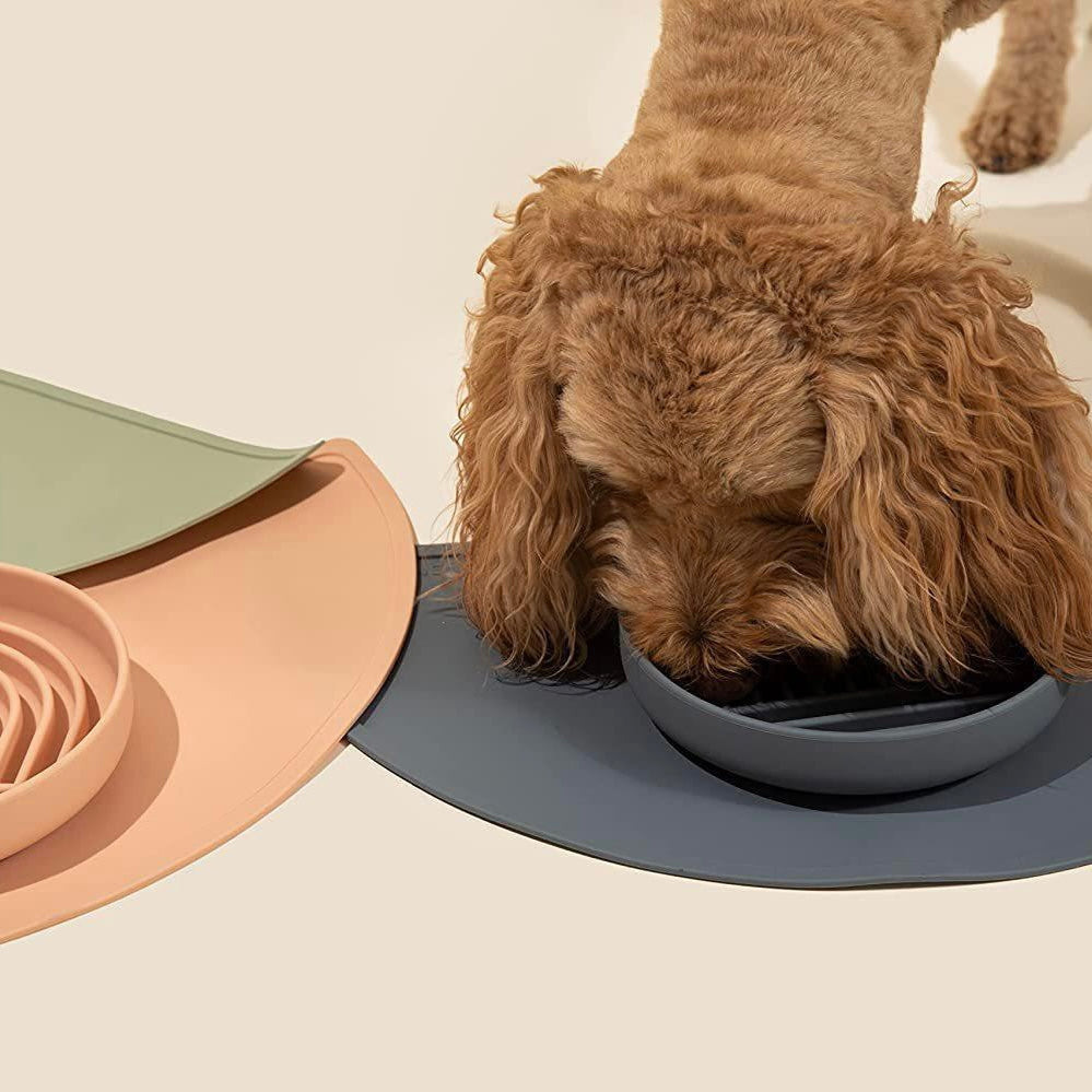 Shallow slow eating bowl - Cats & Dogs