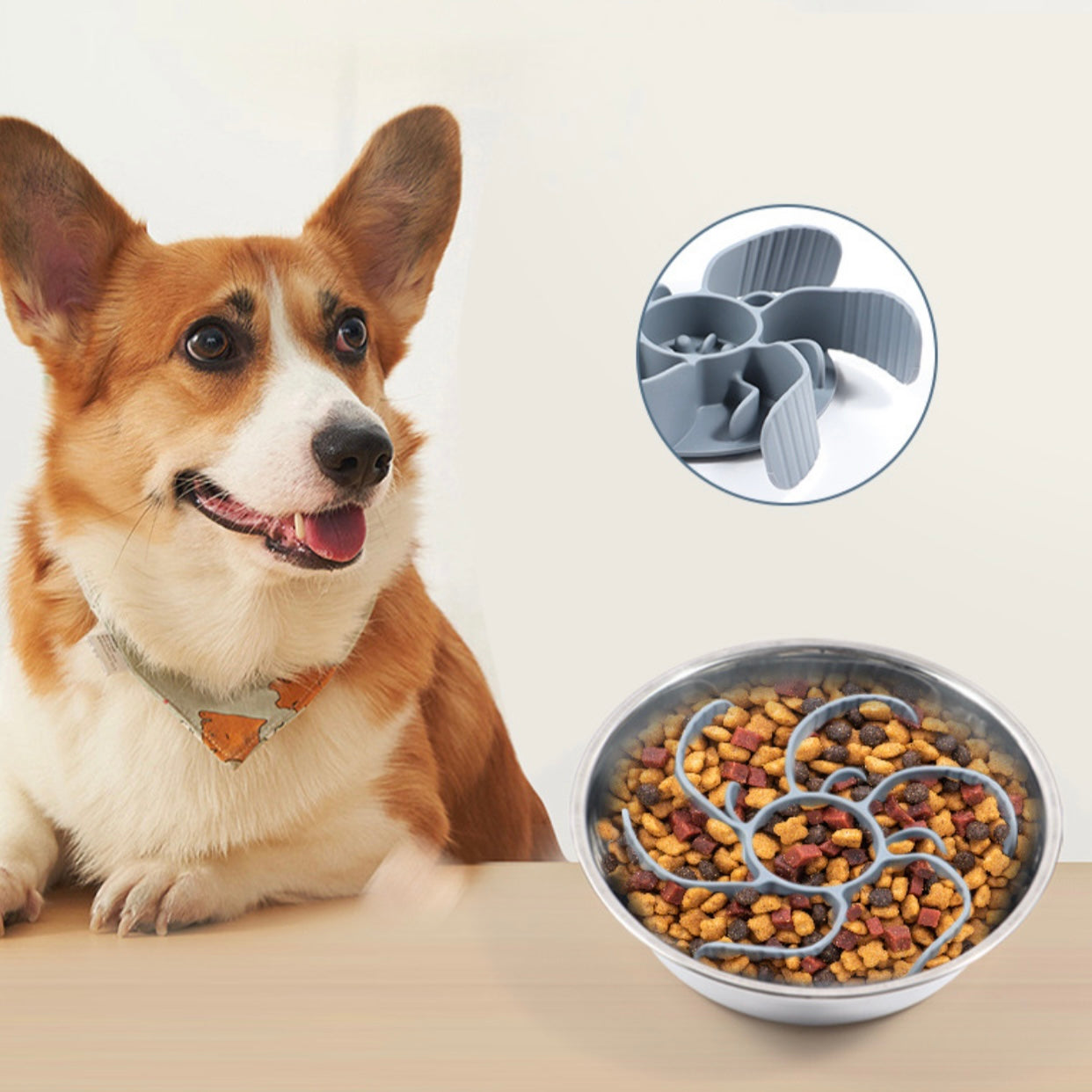 Spiral Dog Bowl Slow Feeding Divider