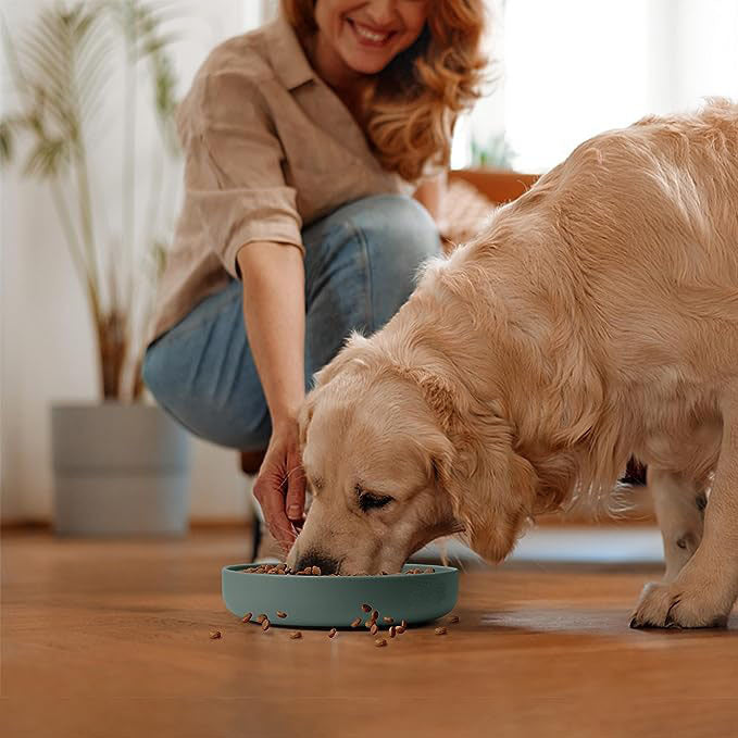 Shallow slow eating bowl - Cats & Dogs